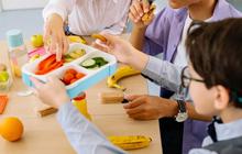 Manfaat Anak Membawa Bekal ke Sekolah, Kontrol Asupan, Kesehatan, dan Tanggung Jawab