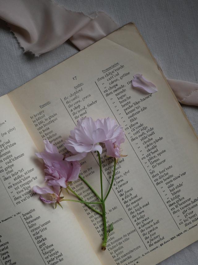 Bunga sebagai penanda halaman kamus bahasa Inggris