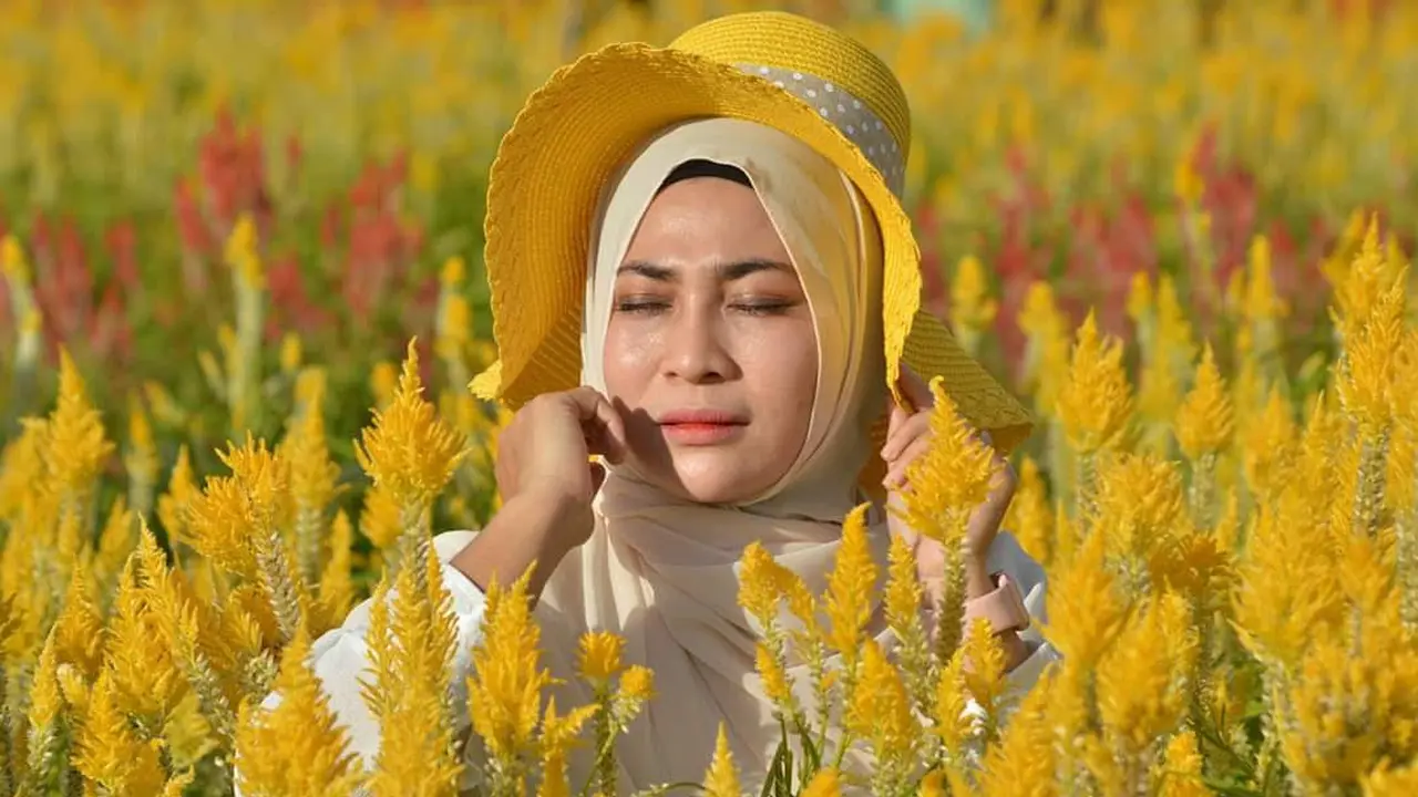 Celocia Garden