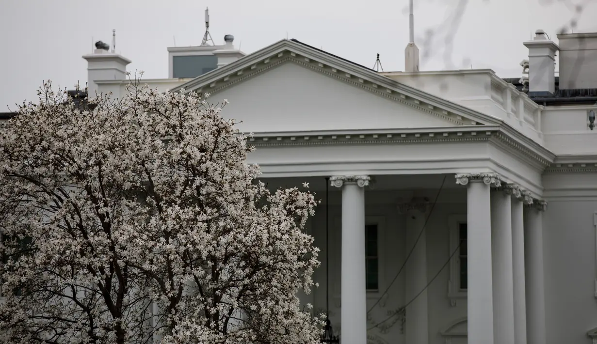 Foto yang diabadikan pada 11 Maret 2020 ini menunjukkan Gedung Putih di Washington DC, Amerika Serikat. Sejumlah bangunan ikonis (landmark) di Washington DC, termasuk Gedung Putih, terpaksa ditutup sementara untuk umum akibat wabah COVID-19 yang tengah merebak di negara itu. (Xinhua/Ting Shen)