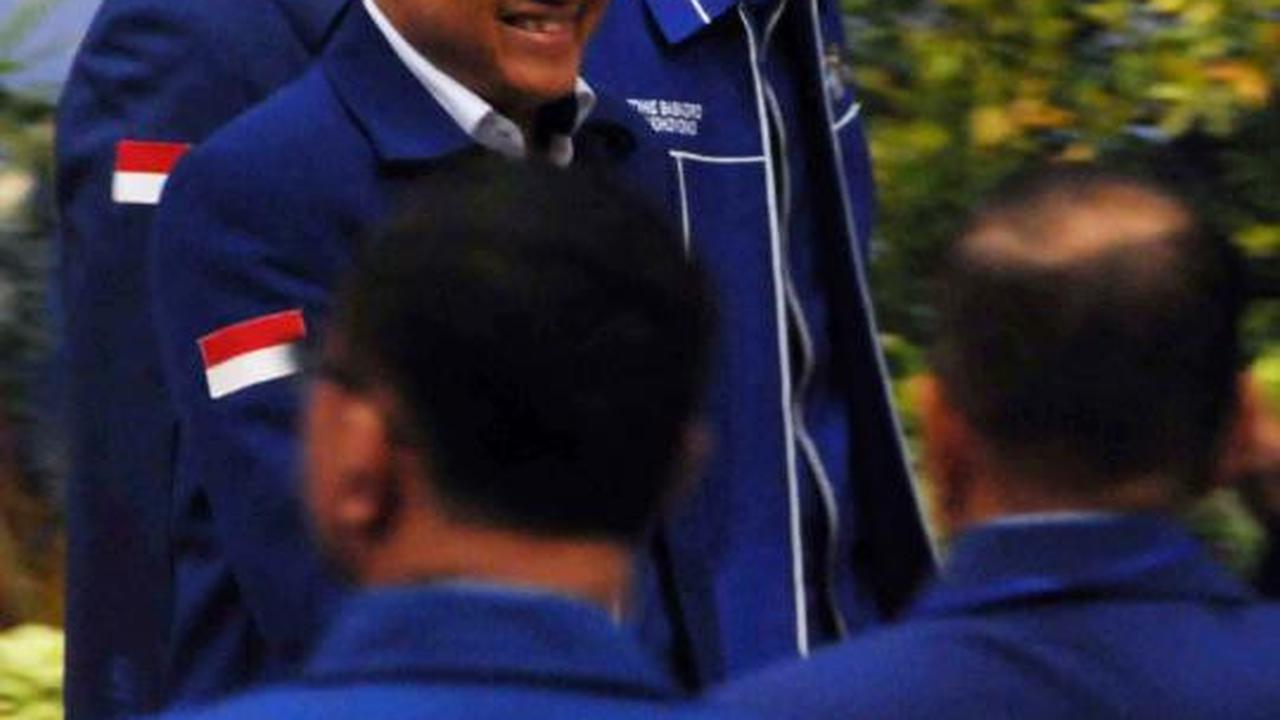 Anas dan Ibas rayakan HUT Demokrat ke-11