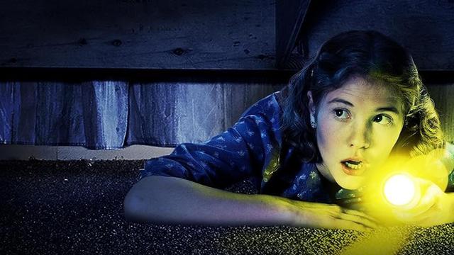 Don't Look Under the Bed (1999)