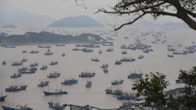 Musim penangkapan ikan di Laut China Timur