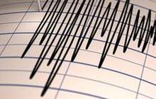 WNI di Jepang Ceritakan Detik-Detik Terjadinya Gempa Dahsyat Magnitudo 7,4