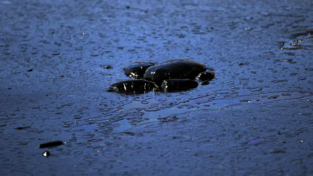 Air Laut di Kawasan Yunani Berubah Menjadi Hitam