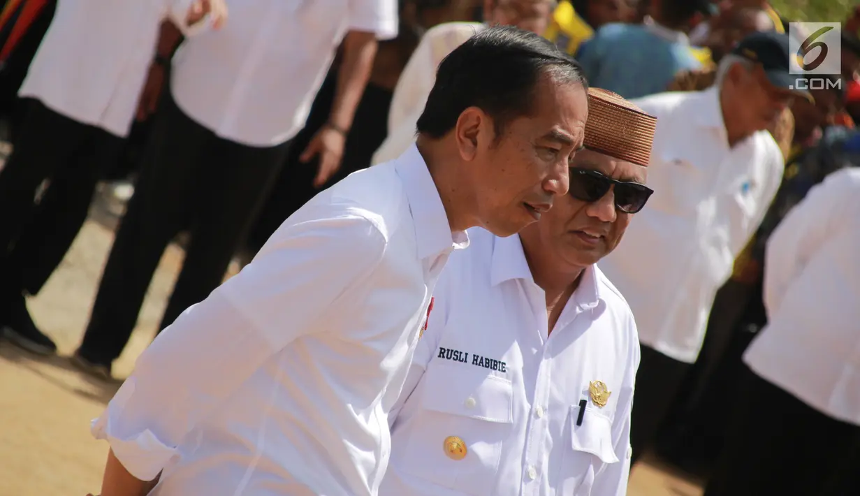Presiden Joko Widodo (Jokowi) didampingi Gubernur Rusli Habibie melakukan panen raya jagung di Desa Botuwombato, Kabupaten Gorontalo Utara, Jumat (1/3). Jokowi melakukan panen raya jagung seluas 1.392 hektare. (Liputan6.com/Arfandi Ibrahim)