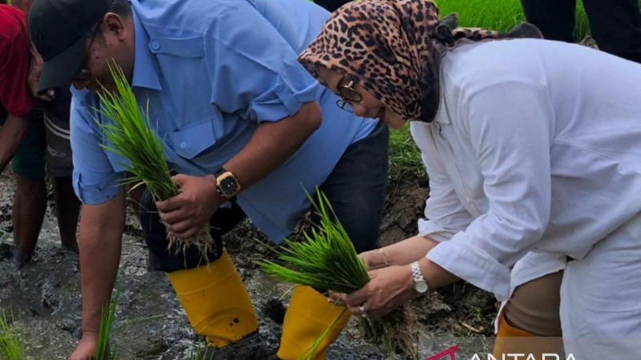 Dukung Ketahanan Pangan, Legislator Jabar Dorong Peningkatan Panen Petani Cirebon Tiga Kali Setahun