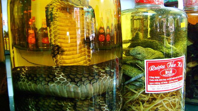 Snake wine atau anggur ular di China. (Wikipedia/Creative Commons)