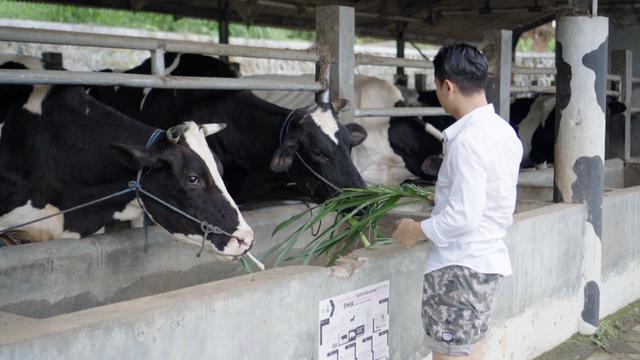 Bupati Trenggalek Mohammad Arifin Kunjungi Perkebunan Dilem Wilis