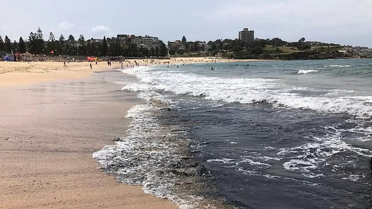 Abu hitam tebal dari kebakaran hutan mengubah pantai-pantai Sydney dengan air birunya yang ikonik menjadi lumpur arang. (Twitter/Dr Emma El Johnston)