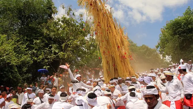 Desa Sudaji.