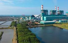 Kebut Transisi Energi, PLN IP Ikut Kembangkan PLTS dari Hulu ke Hilir