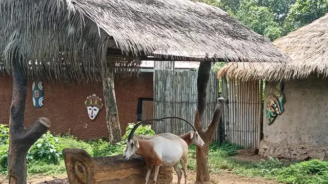 Bercengkerama dengan Lemur dan Kawan-kawannya di Batu Secret Zoo, Sekalian Belajar soal Konservasi
