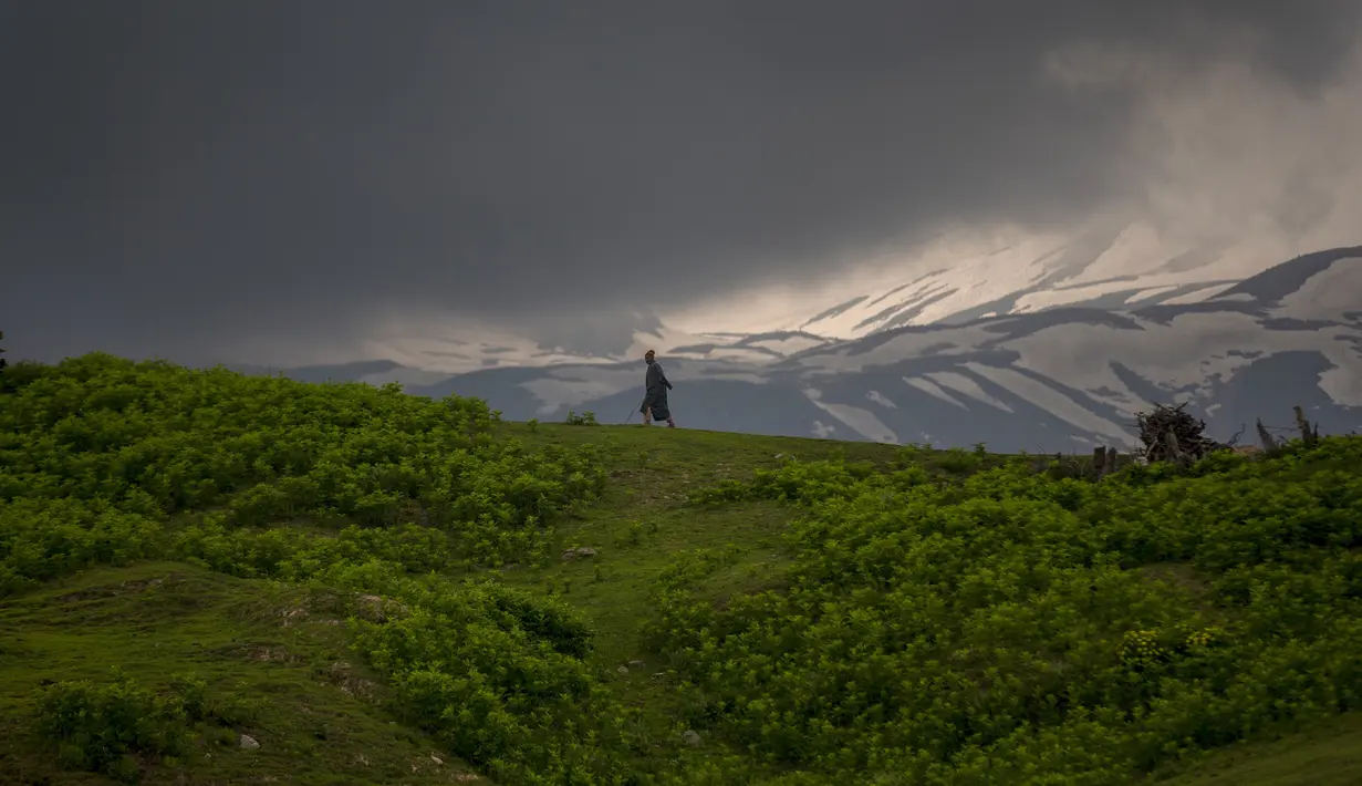 Gembala Kashmir menggembalakan ternaknya saat berjalan di atas bukit kecil di Tosamaidan, barat daya Srinagar, Kashmir yang dikuasai India, Senin (21/6/2021). Tidak hanya terkenal dengan padang rumputnya, Tosamaidan juga menjadi tujuan wisata. (AP Photo/Dar Yasin)