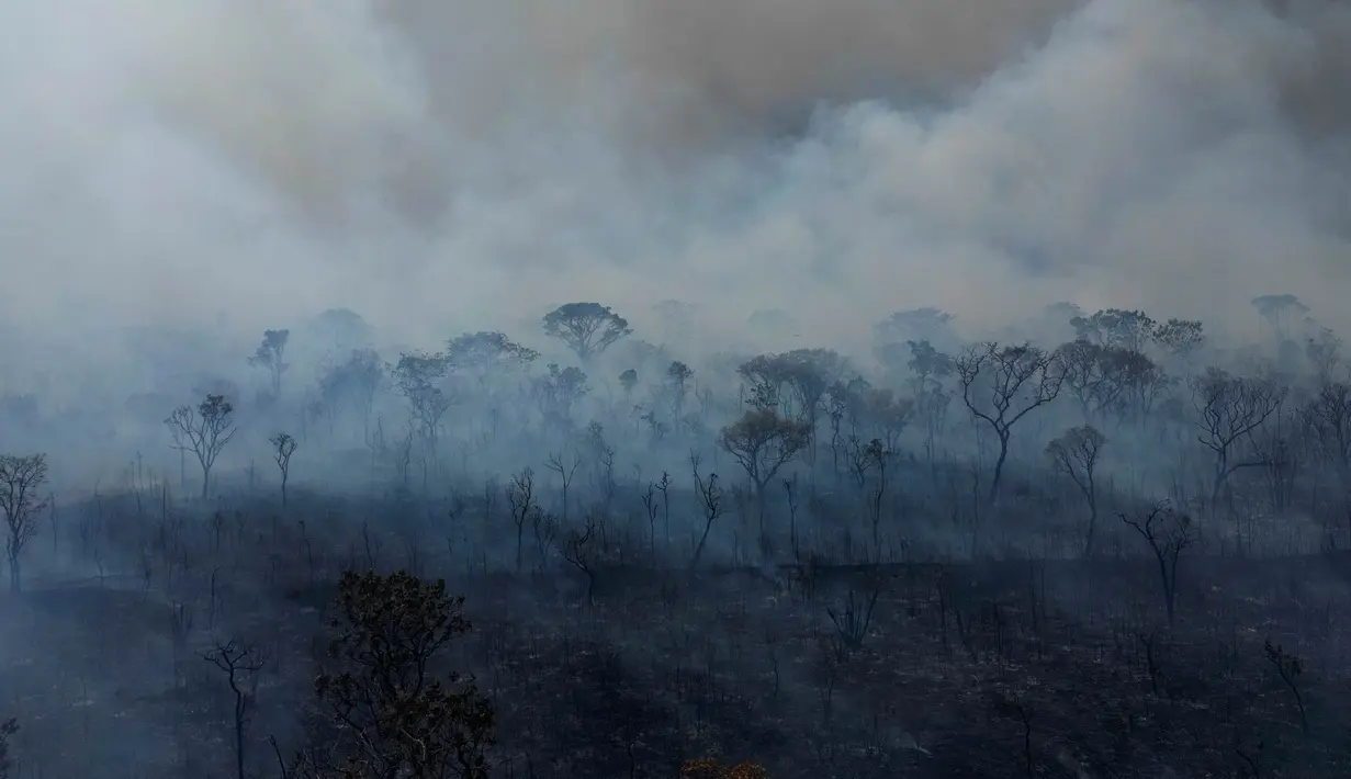 Asap mengepul dari kebakaran di kawasan hutan lindung lingkungan di Taman Nasional Brasilia selama musim kemarau di dekat Brasilia, Brasil, Senin 16 September 2024. (AP Photo/Eraldo Peres)