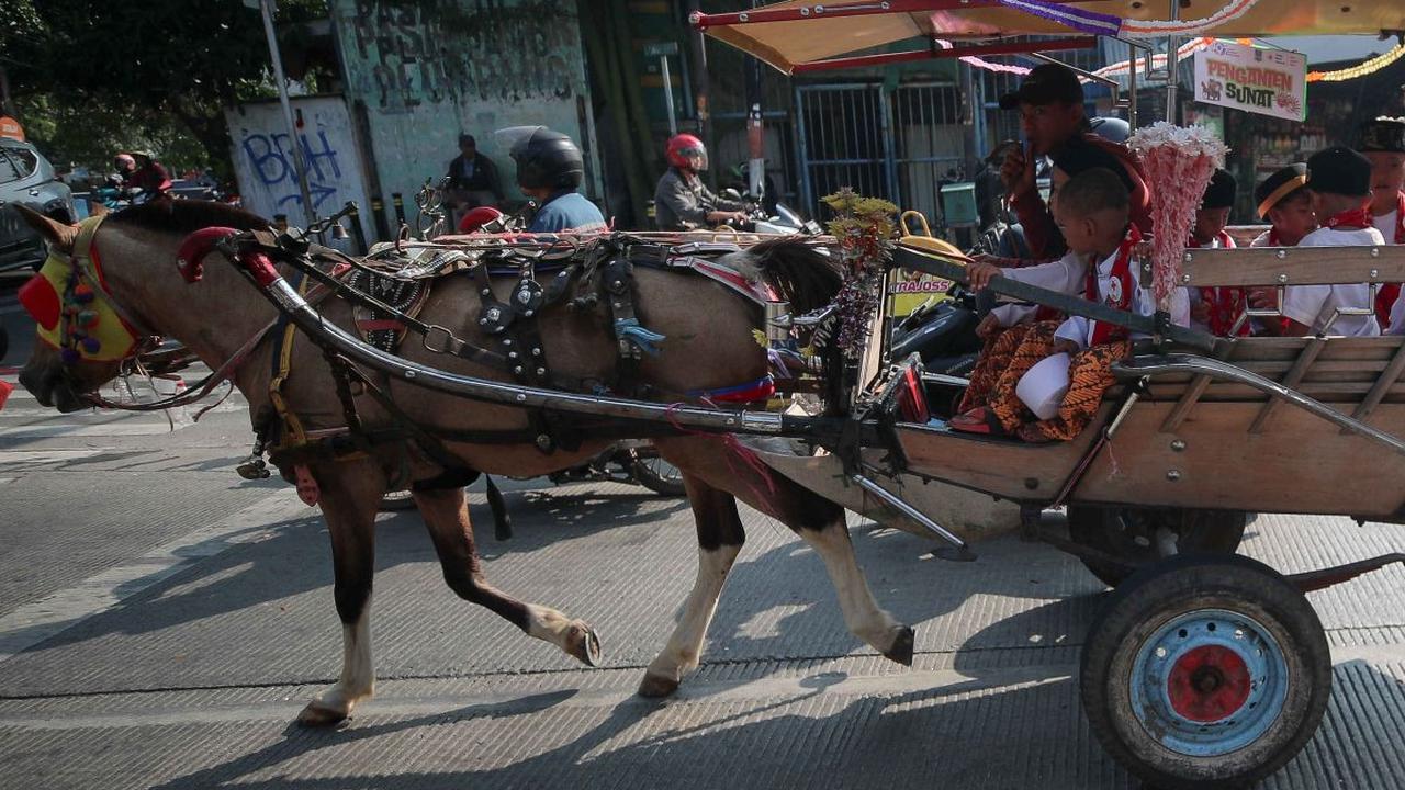Sejumlah penganten sunat menaiki delman selama arak-arakan dari Markas Palang Merah Indonesia (PMI) Jakarta Utara, Jumat (21/6/2024).&nbsp;Dalam ranka memperingati HUT ke-497 Kota Jakarta, Palang Merah Indonesia (PMI) dan Pemerintah Kota Administrasi Jaka