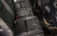 Langkah yang Benar Membersihkan Jok Mobil Berbahan Kain Agar Tetap Awet