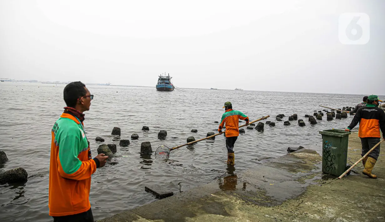 Petugas membersihkan Kali Adem, Muara Angke, Jakarta Utara, Sabtu (2/10/2021). Teluk Angke dan Ancol yang ada di wilayah Jakarta Utara dilaporkan tercemar paracetamol dengan konsentrasi tinggi. (Liputan6.com/Faizal Fanani)