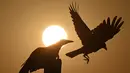 Dua burung gagak terlihat di atas tiang saat matahari terbenam di danau Dal di Srinagar, India (12/9). Danau Dal dijuluki sebagai Jewel in the Crown of Kashmir atau Srinagar Jewel. (AFP Photo/Tauseef Mustafa)