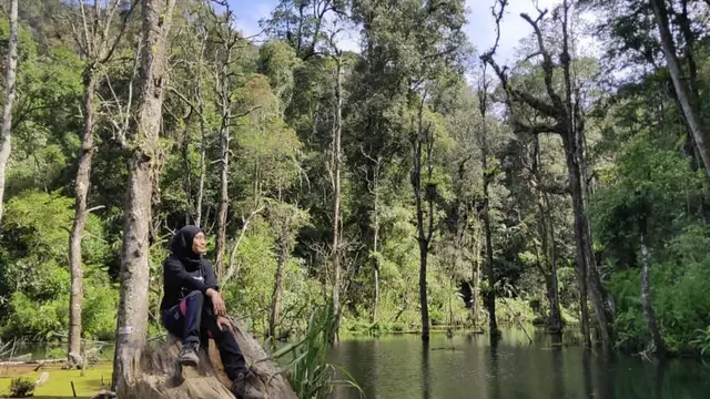 Seorang pendaki di Gunung Bukittunggul, Bandung Jawa Barat