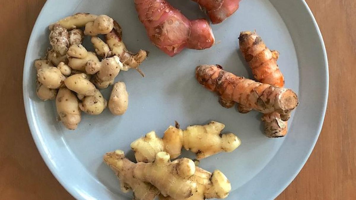 5 Resep Jamu Rempah yang Ampuh Turunkan Kolesterol dan Gula Darah, Mudah Dibuat