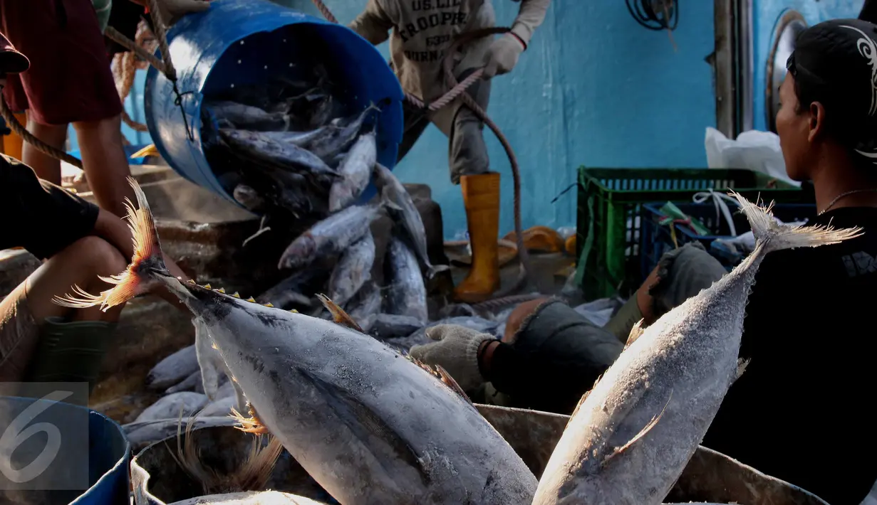 Aktivitas bongkar muat ikan di Pelabuhan Muara Baru, Jakarta, Selasa (22/9/2015). Nelayan mengeluh mahalnya BBM dan Peraturan Menteri No. 2/2015 tentang larangan penggunaan pukat hela dan pukat tarik membuat nelayan merugi. (Liputan6.com/Angga Yuniar) 