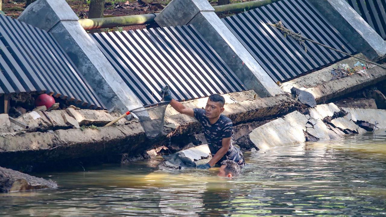 FOTO: TNI AL Bantu  Memusnahkan Ikan Sapu Sapu di Setu babakan
