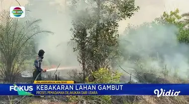 Simak Fokus Pagi (09/10) dengan beberapa topik pilihan di antaranya, Pilkades Diwarnai Kericuhan, Mobil Sport Mewah Tabrak Lima Kendaraan, Truk Terbakar di Tol Cipali, Presiden Terima Kedatangan SYL.