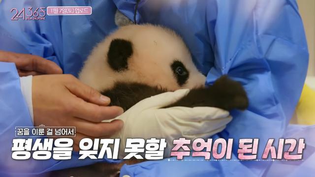 Blackpink bersama Fubao si bayi panda. (Tangkapan layar YouTube/ Blackpink)