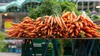 5 Jenis Sayuran yang Dapat Tumbuh Baik di Daerah Panas dan Dingin