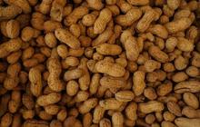 Tips Jitu Menggoreng Kacang Tanah, Gurih, Renyah, dan Anti Gosong