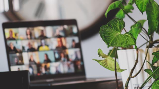 Ilustrasi virtual tur/dok. Unsplash Sigmund