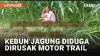 Viral seorang nenek terekam menangis di kebun jagung miliknya. Sebagian tanaman jagungnya yang akan panen tampak hancur. Peristiwa diduga terjadi di Jawa Timur. Sementara itu terekam sejumlah rombongan motor trail yang melintas.
