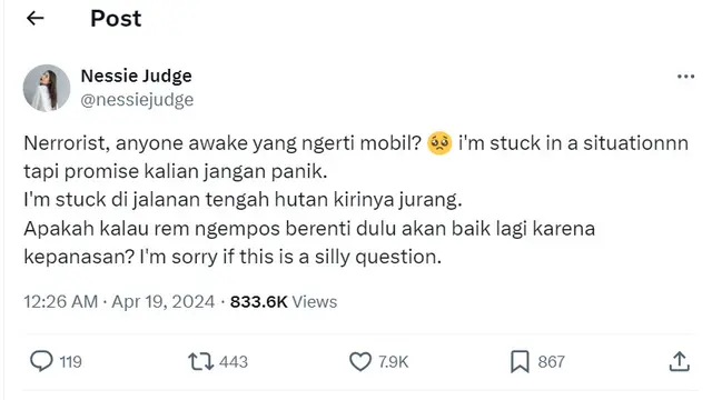 Nessi Judge