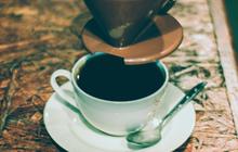 Quote Lucu tentang Kopi yang Bikin Ngakak dan Penuh Inspirasi