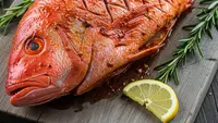 Teknik Sayatan Ikan agar Bumbu Bakar Masuk Sampai Dalam dan Meresap Sempurna