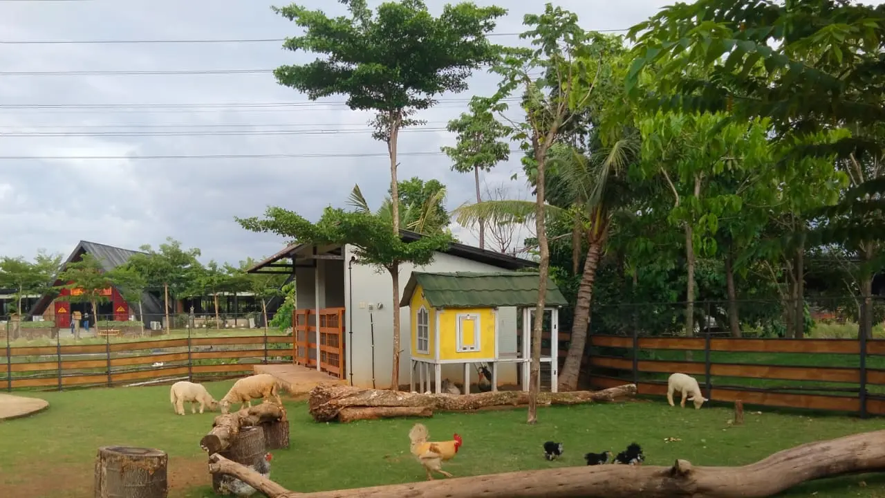 Aviary Park