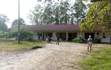 Kawanan Gajah Liar Robohkan Bangunan di Siak Riau, Kerusakan Material Terjadi