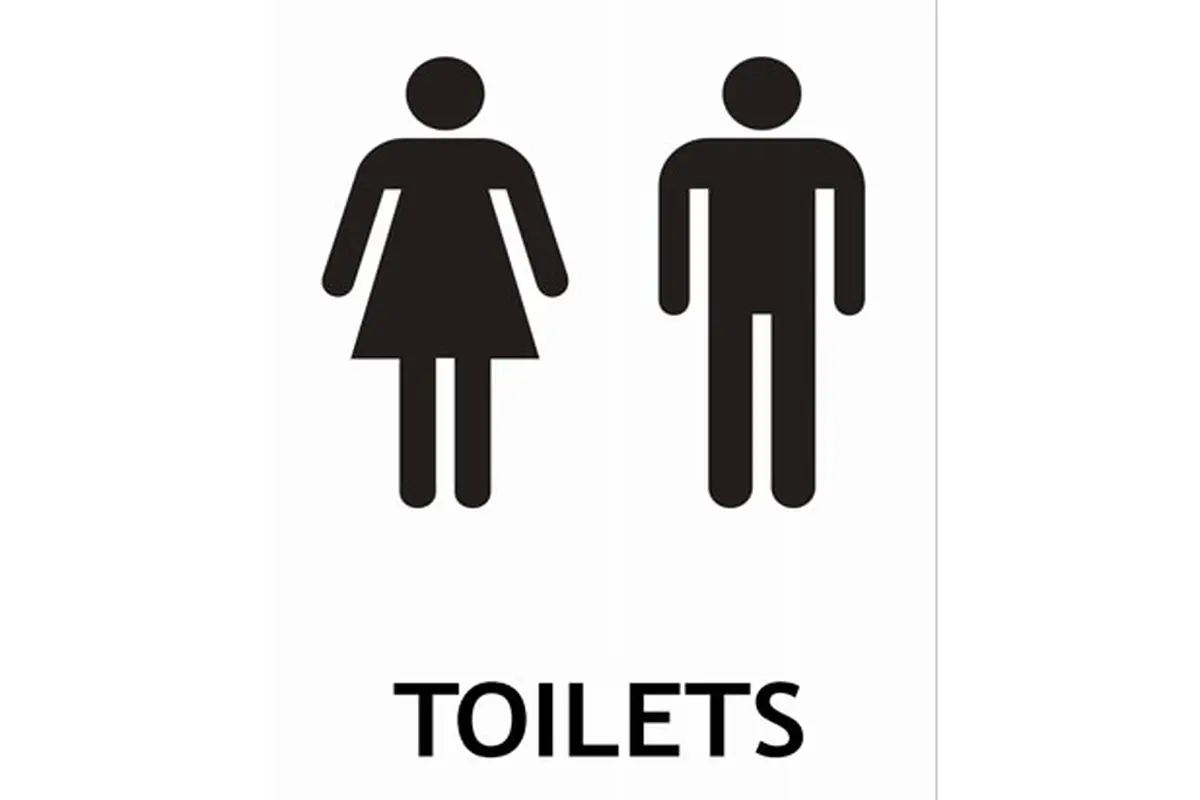 Pelecehan Seksual JIS, Kak Seto: Anak ke Toilet Harus Didampingi