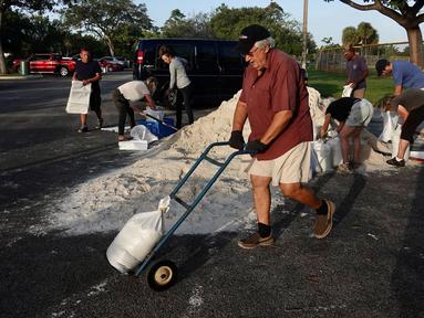 Karung pasir didistribusikan di Mills Pond Park di Fort Lauderdale pada Selasa, 8 November 2022 menjelang badai subtropis Nicole. Tas akan dibatasi hingga enam per mobil, bukti domisili diperlukan, bawalah sekop Anda sendiri, sementara persediaan masih ada dari jam 7 pagi sampai jam 7 malam. (Joe Cavaretta/Sun-Sentinel Florida Selatan via AP)
