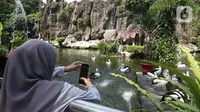 Wisatawan mengambil gambar kawanan Burung Pelikan saat berkunjung ke Taman Margasatwa Ragunan, Jakarta, Sabtu (1/8/2020). Di masa pandemi corona ini, Ragunan sepi pengunjung di libur panjang Idul Adha 1441 H dibandingkan tahun lalu. (Liputan6.com/Herman Zakharia)