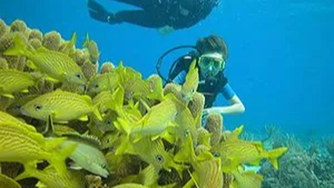 Misalnya saja ekspedisi dasar laut seperti yang dilakukan oleh perusahaan OceanGate.