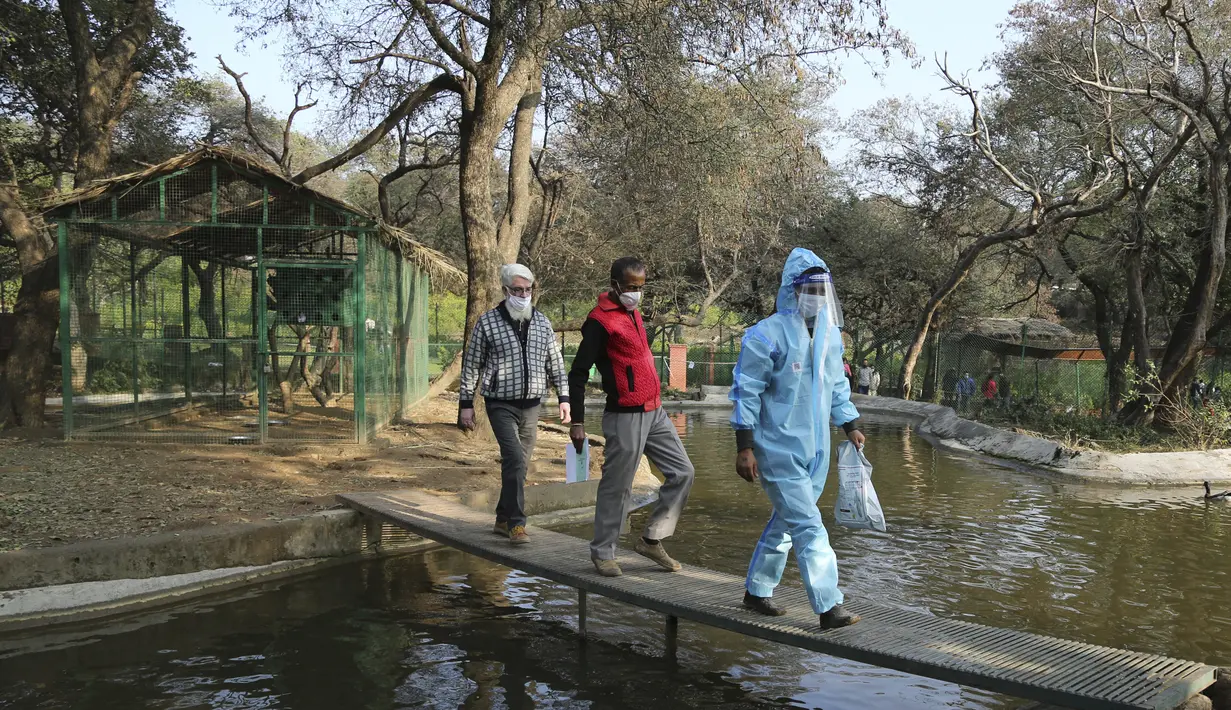 Dokter berjalan setelah mengumpulkan penyeka dari bebek di taman Manda di Jammu, India (7/1/2021). Pemerintah federal telah mengeluarkan status "kewaspadaan tinggi", dan meminta negara bagian untuk mengambil tindakan mendesak dalam rangka mencegah penyebaran. (AP Photo/Channi Anand)