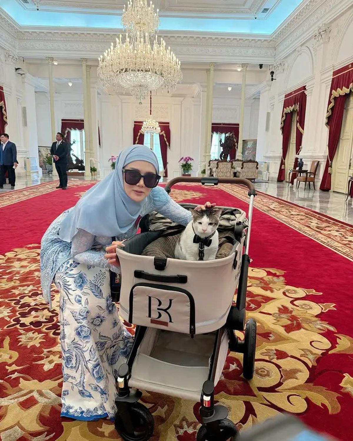7 Potret Bobby Kucing Prabowo di Pelantikan Presiden, Jadi Penghuni Istana