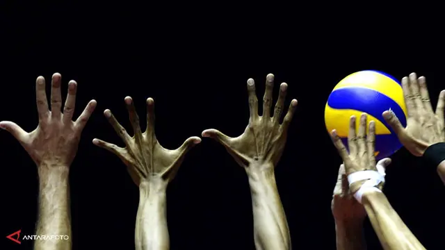 Proliga
