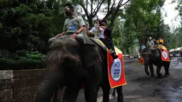 Pengunjung berkeliling dengan gajah di Taman Safari Indonesia (TSI) di Cisarua, Bogor, Kamis (20/5/2021). Walaupun libur lebaran sudah berakhir wiasatawan masih memadati kawasan TSI Bogor dengan menerapkan protokol kesehatan dan membatasi pengunjung hingga 50 persen.
(merdeka.com/ Arie Basuki)