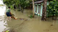 Banjir terjadi di Karangreja Kecamatan Maos, Cilacap akibat cuaca ekstrem. (Foto: Liputan6.com/BPBD Cilacap/Muhamad Ridlo)