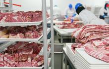 Hindari Keracunan! Rahasia Menyimpan Daging Kurban Tahan Lama dan Tetap Segar