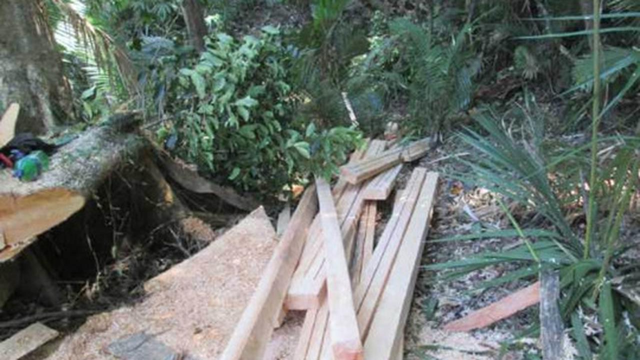 Parahnya kerusakan hutan lindung di Sulut akibat tambang ilegal