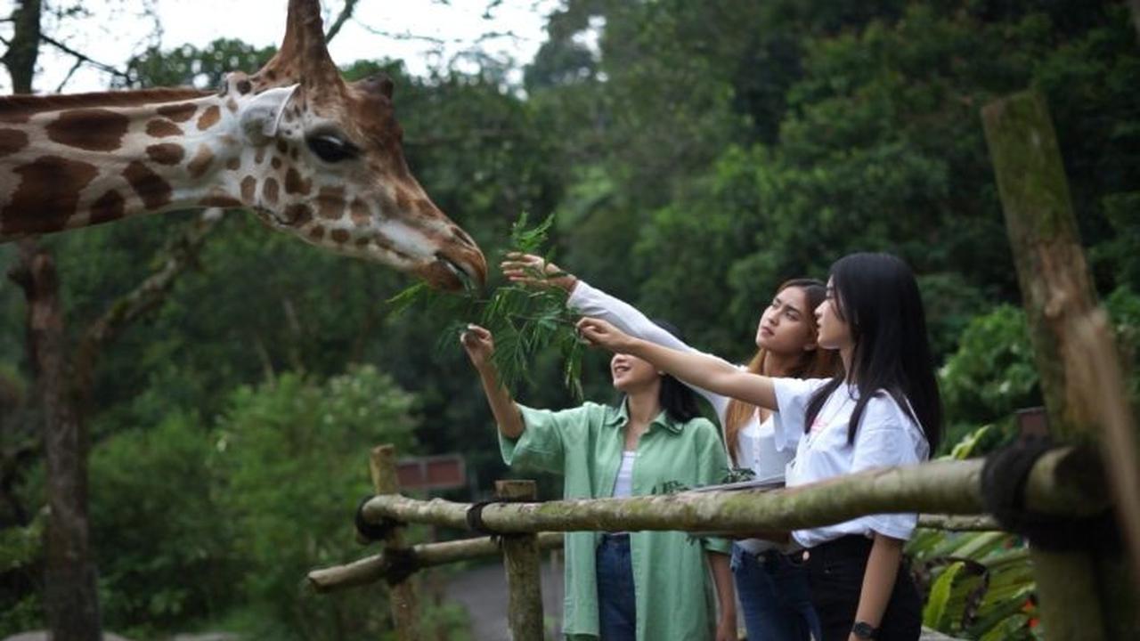 3. Taman Safari Bogor
